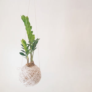 Kokedama | Coastal Flair | ZZ PLant