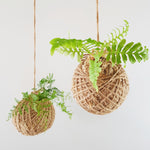 Kokedama | Coastal Flair | Mini Fern