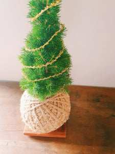 Mini Christmas Tree Kokedama