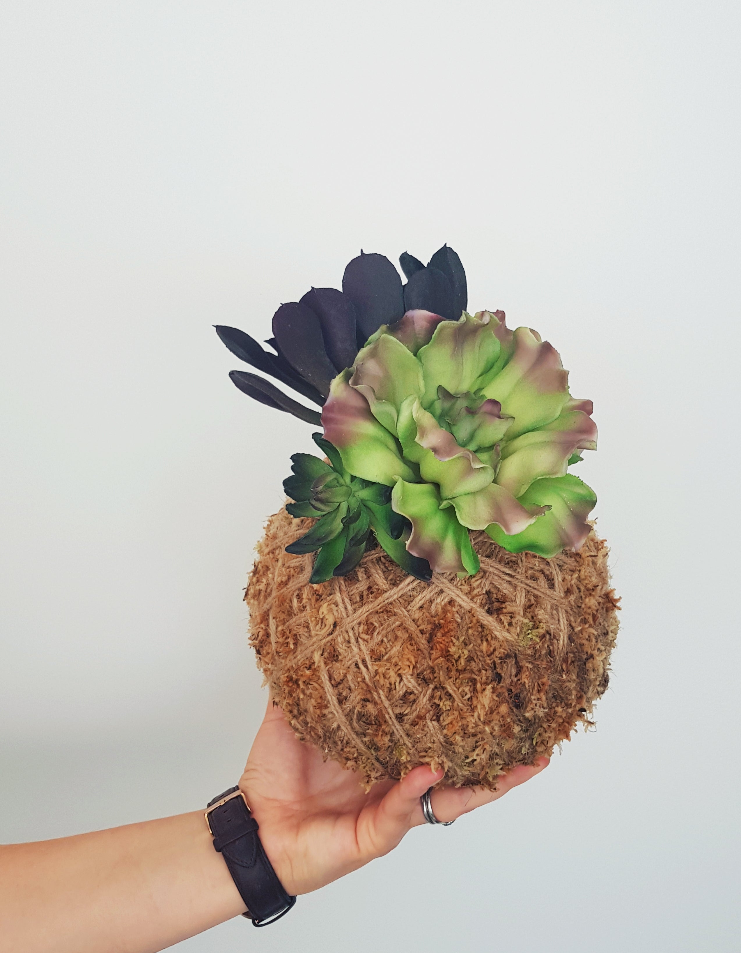 Artificial Succulent Kokedama