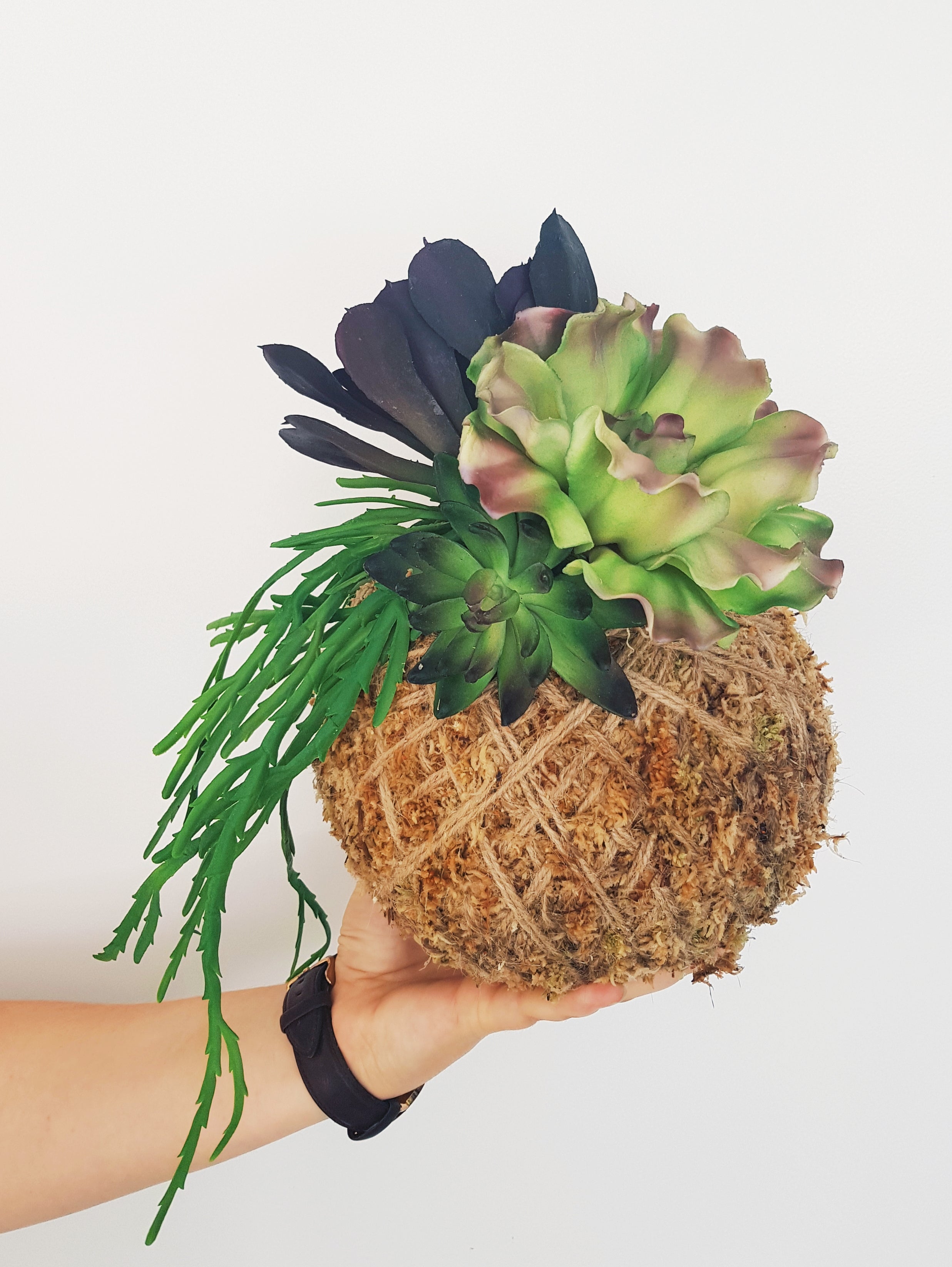 Artificial Succulent Kokedama