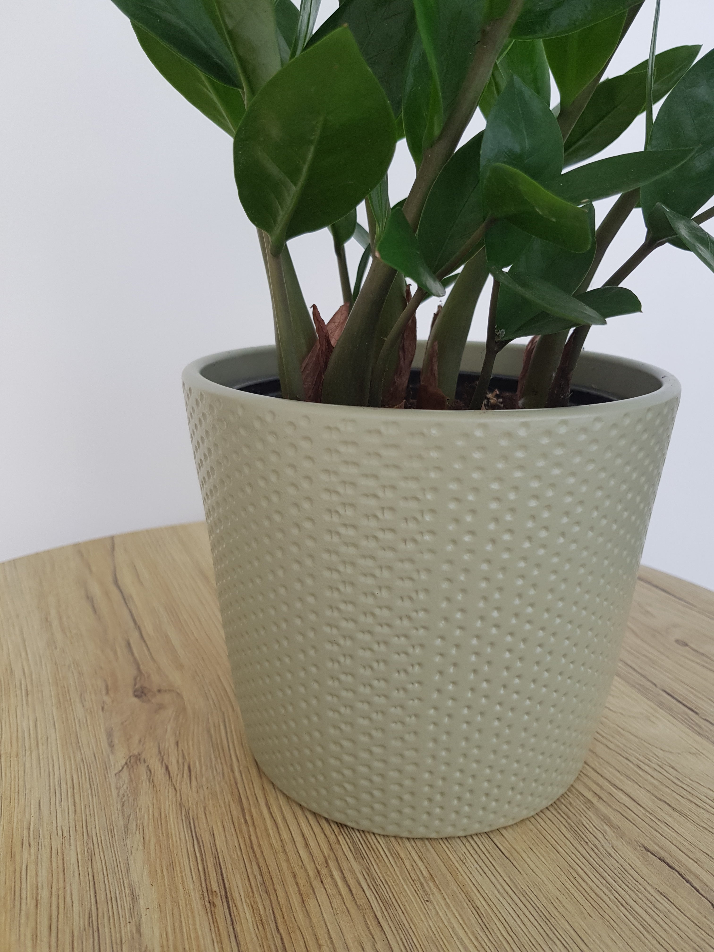 Medium Lina Pot
