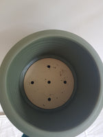 Large Berlin Pot - Eucalyptus