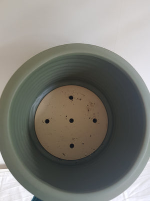 Large Berlin Pot - Eucalyptus