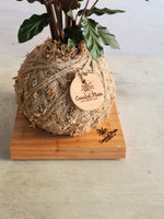 Kokedama Stand Coastal Flair Wooden plant base