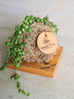 Kokedama Stand Coastal Flair Wooden plant base