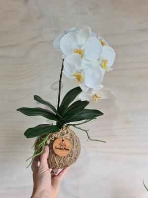 Artificial Orchid Kokedama