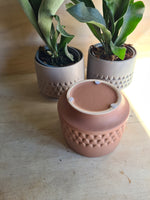 Medium Kirsten Pot