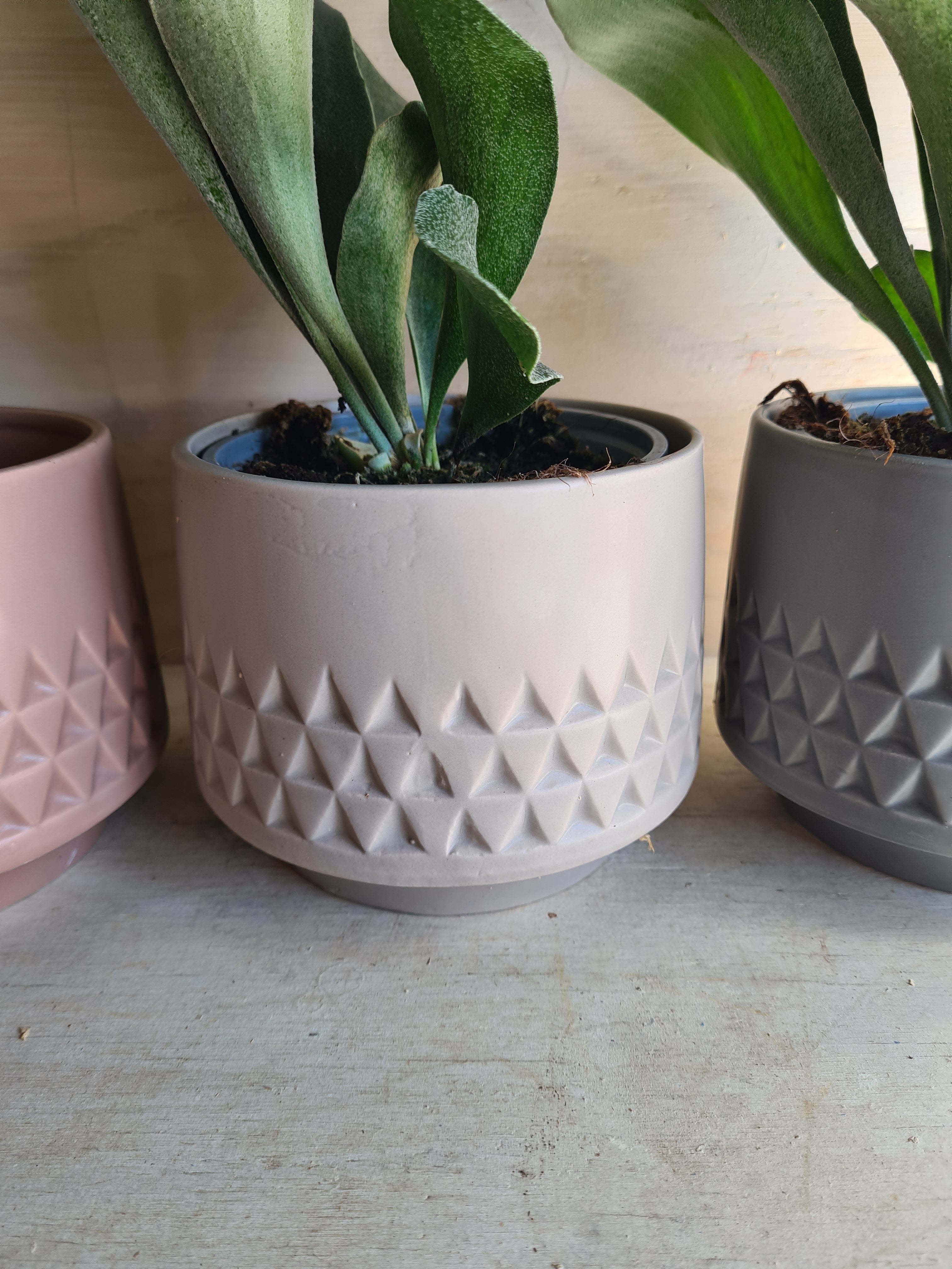 Medium Kirsten Pot