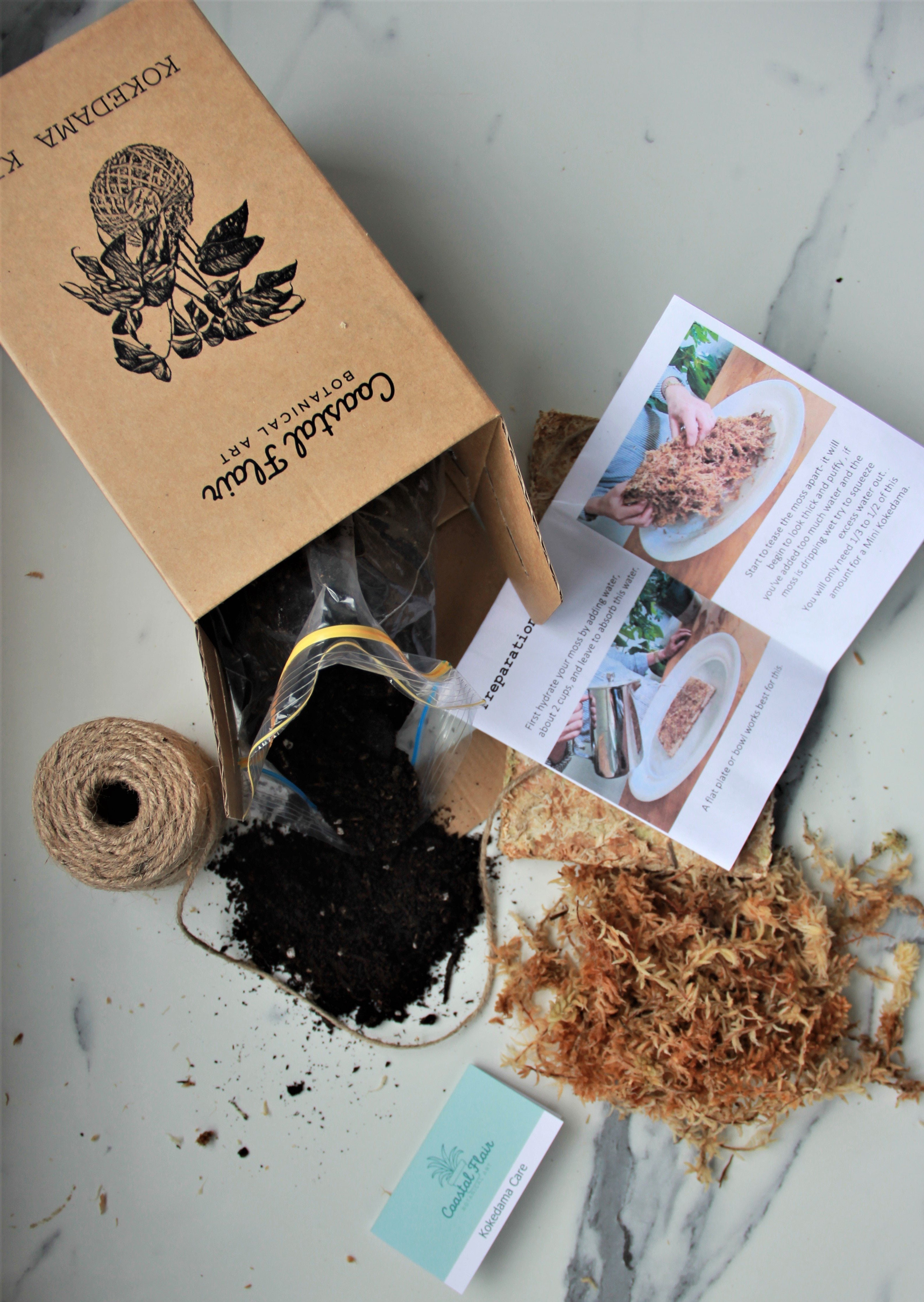 DIY Kokedama Kit