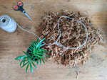 DIY Kokedama Kit