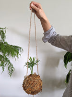 DIY Kokedama Kit