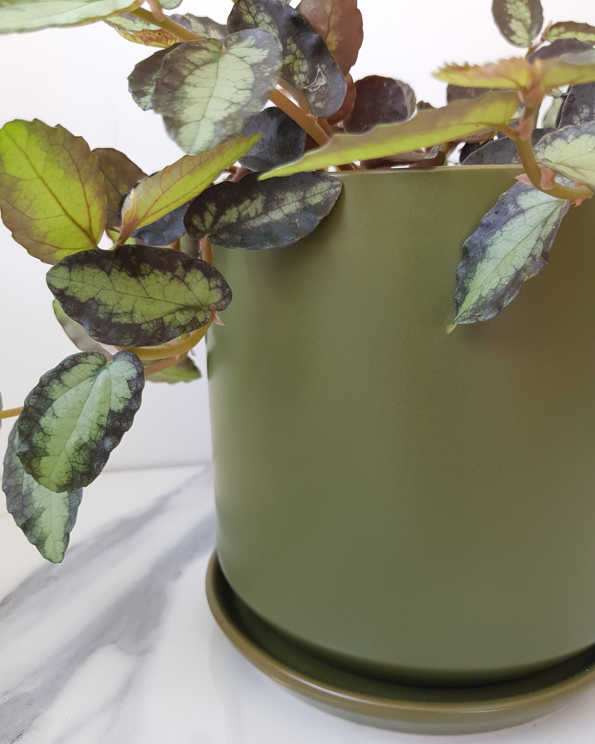Medium Oslo Pot Avocado