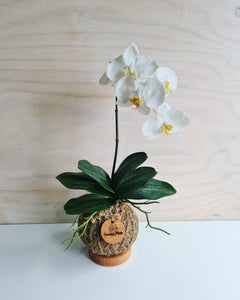 Artificial Orchid Kokedama